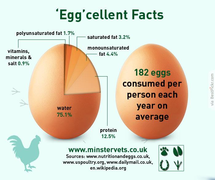 Chicken Egg Nutrition Chart