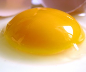 Truths About Egg Nutrition Facts You Have Been Lied To