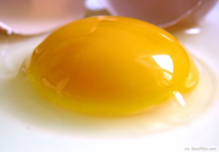 Myth: Egg Yolks Are Bad For Your Health ❥ http://bestpickr.com/egg-nutrition-facts